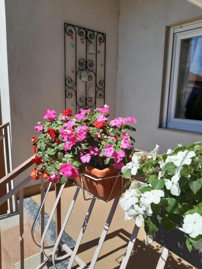Apartment Jardin With Free Cowered Parking Zadar Exterior foto